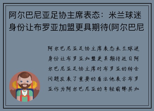 阿尔巴尼亚足协主席表态：米兰球迷身份让布罗亚加盟更具期待(阿尔巴尼亚队)