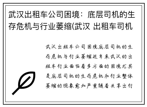 武汉出租车公司困境：底层司机的生存危机与行业萎缩(武汉 出租车司机)